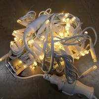 LED PASAJI 220 VOLT 10 METRE 100 LEDLİ DIŞ MEKAN İP LED YILBAŞI SÜSÜ LPYS16