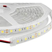 ATLANTİS 12 VOLT ECO ÜÇ ÇİPLİ İÇ MEKAN ŞERİT LED A4041