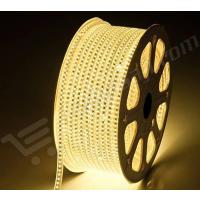 ATLANTİS 220 VOLT HORTUM LED A4588