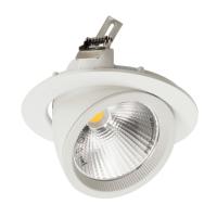 ACK 30 WATT SALYANGOZ LED ARMATÜR AD36-00400
