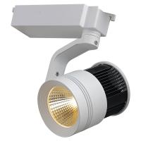 ACK 32 WATT LED RAY SPOT 6401-021