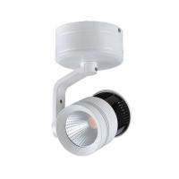 ACK 32 WATT ROZANSLI LED RAY SPOT 6401-025