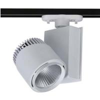 BENAR 30 WATT LEDLİ RAY SPOT RS-RAYSP 11