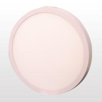 ERK LED 24 WATT SIVA ÜSTÜ YUVARLAK LED PANEL ERK36621
