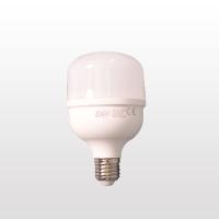 ERKLED 30 WATT TORCH LED AMPUL ERK2063