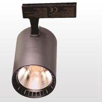 ERKLED 30 WATT SİYAH KASA RAY SPOT ERK3727