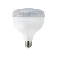 HOROZ ELEKTRİK 20 WATT CRYSTAL LED AMPUL CRYSTAL 20