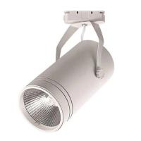 HOROZ ELEKTRİK 30 WATT BERN RAY SPOT BERN 30